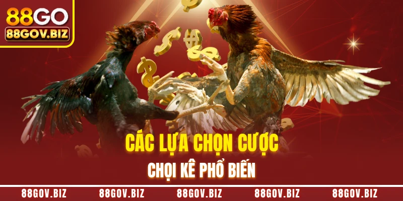 Các lựa chọn cược chọi kê phổ biến
