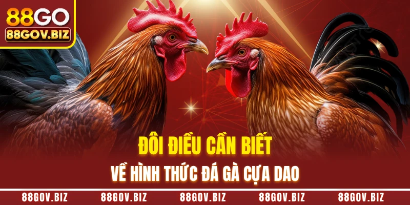 Đôi điều cần biết về hình thức đá gà cựa dao