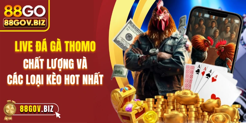 Live Đá Gà Thomo Chất Lượng Và Các Loại Kèo Cược Hot Nhất