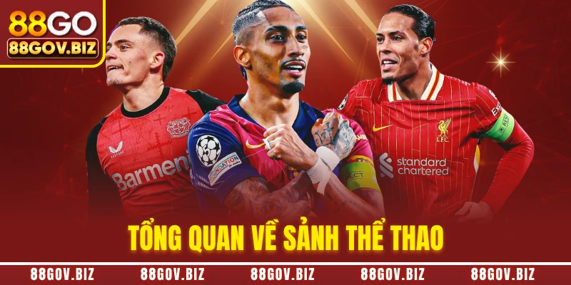 Tổng quan về sảnh thể thao